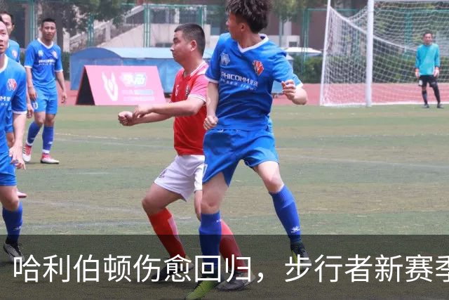 哈利伯顿伤愈回归，步行者新赛季观赛指南来了