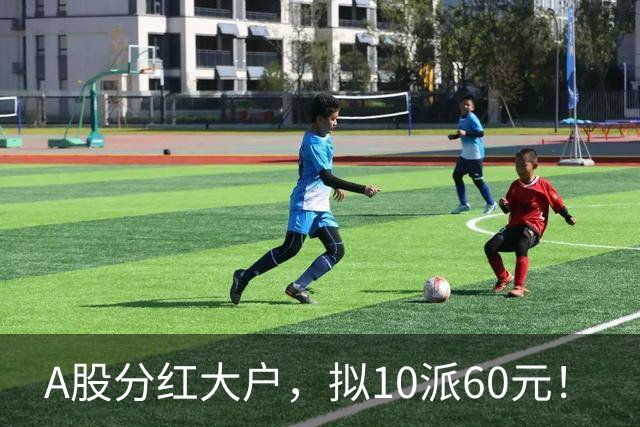 A股分红大户，拟10派60元！